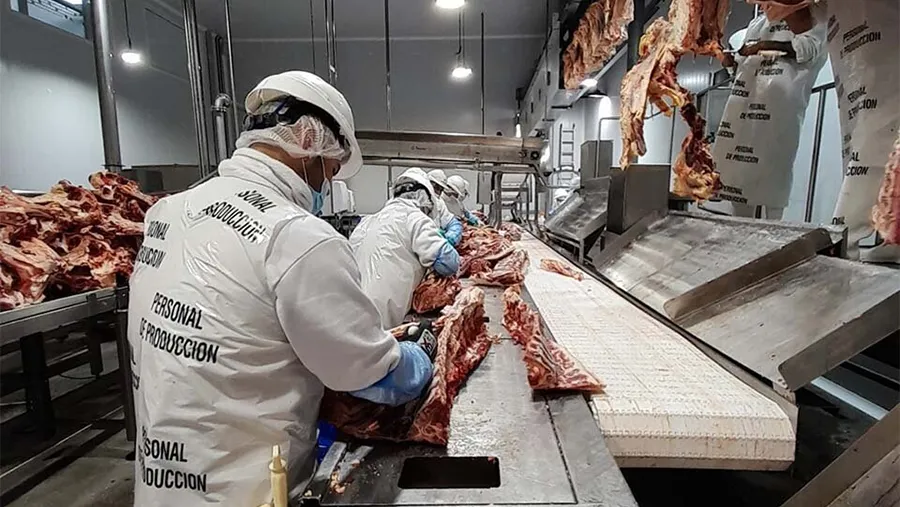 Sin regulación estatal, el precio local de la carne se equiparará al de exportación. Sin regulación estatal, el precio local de la carne se equiparará al de exportación.