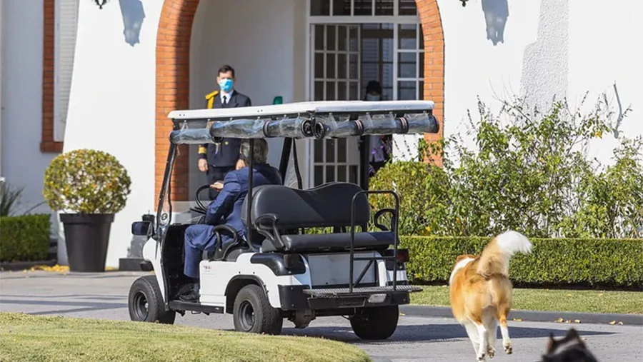 Alberto Fernández con Dylan y Prócer, sus perros collie, camino a Jefatura.