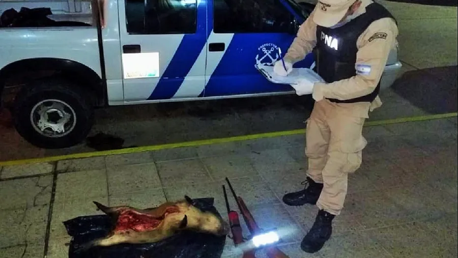 Detuvieron a tres uruguayos que cruzaron la frontera para cazar