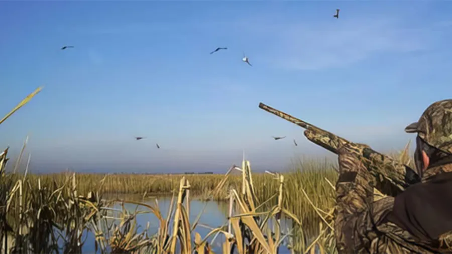 Organizaciones ambientales de todo el país pidieron por escrito que el gobierno de Entre Ríos suspenda la caza de especies nativas al menos por 5 años.