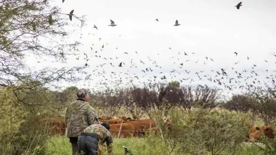 Entre los privilegios se encuentra que los extranjeros no deben declarar el arma y a las empresas de turismo aventura se les otorga permisos de caza “en blanco”.
