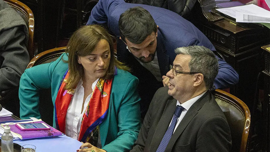Imagen de archivo de los diputados oficialistas Cecilia Moreau y Germán Martínez.