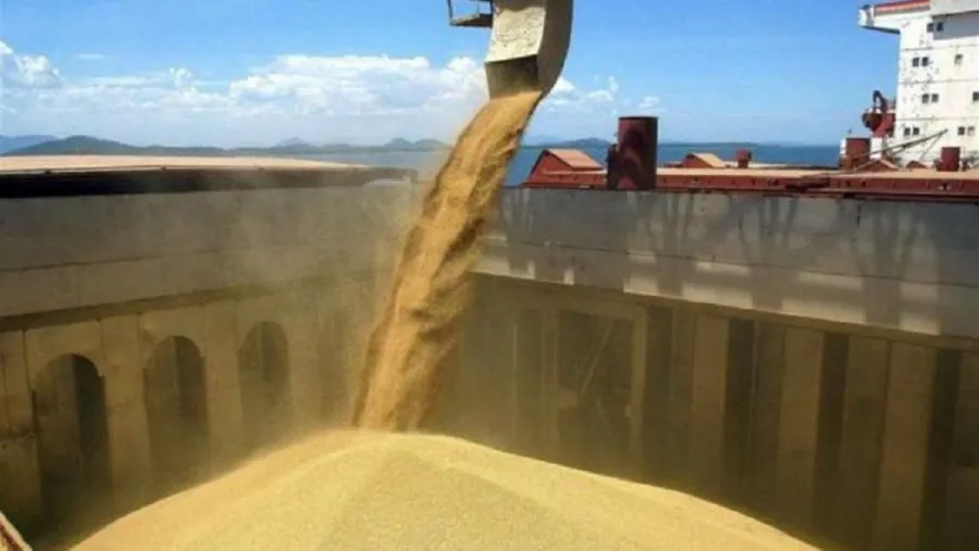 Cerealeras