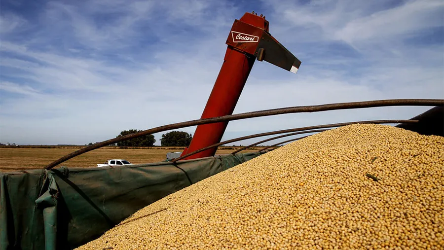 La Aduana detectó una millonaria maniobra de evasión de las grandes cerealeras. La Aduana detectó una millonaria maniobra de evasión de las grandes cerealeras.