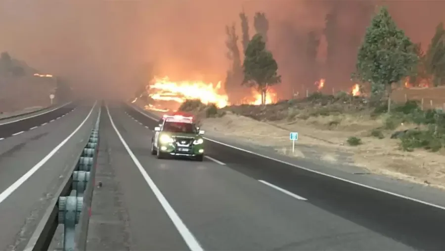 Al menos 22 muertos causaron los 204 incendios forestales que afectan a la zona Centro Sur de Chile, y que llevaron al Gobierno a declarar el estado de catástrofe en esa región. Al menos 22 muertos causaron los 204 incendios forestales que afectan a la zona Centro Sur de Chile, y que llevaron al Gobierno a declarar el estado de catástrofe en esa región.