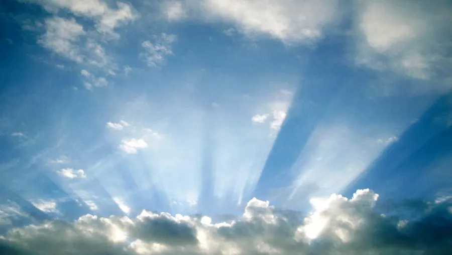 Cielo Cielo