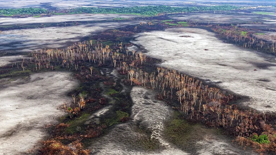 El Ministerio de Ambiente de la Nación realizará desde el lunes 22 al viernes 26, una serie de actividades en modalidad virtual para tomar consciencia sobre las implicancias del cambio climático. 