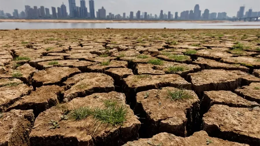 Cambio climático. Cambio climático.