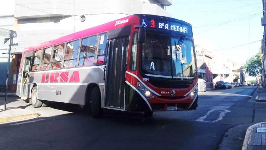 colectivos