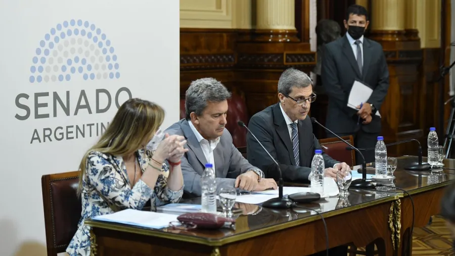 El FdT en el Senado firmó el dictamen de mayoría sobre el proyecto de Bienes Personales