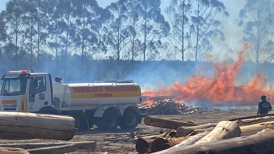 El incendio afectó a la empresa Impregnadora Concordia, que comercializa madera para diferentes aplicaciones.