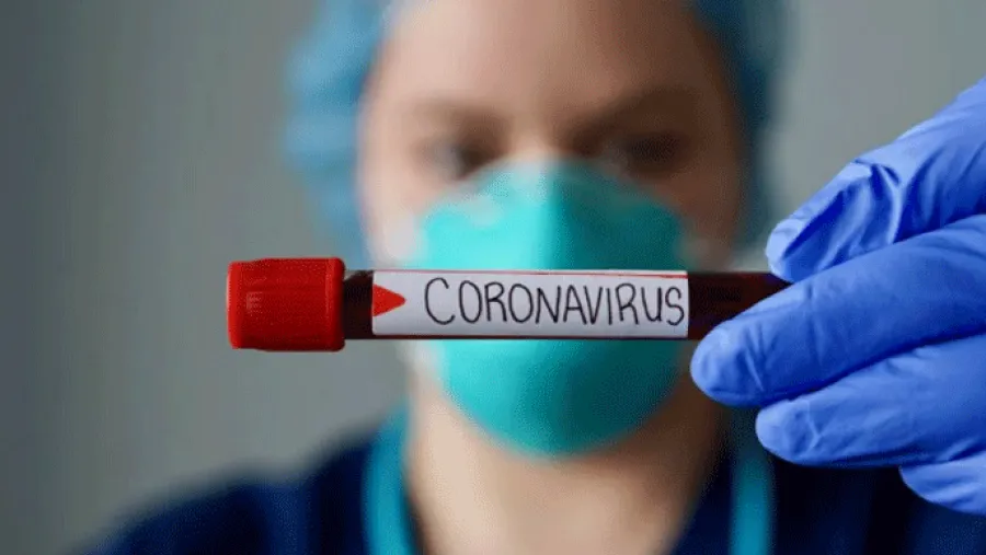 Pandemia. Pandemia.