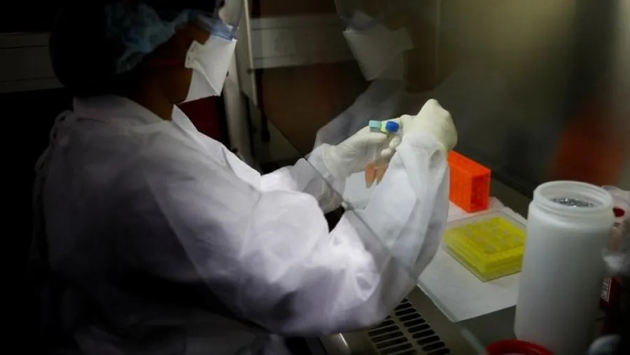coronavirus