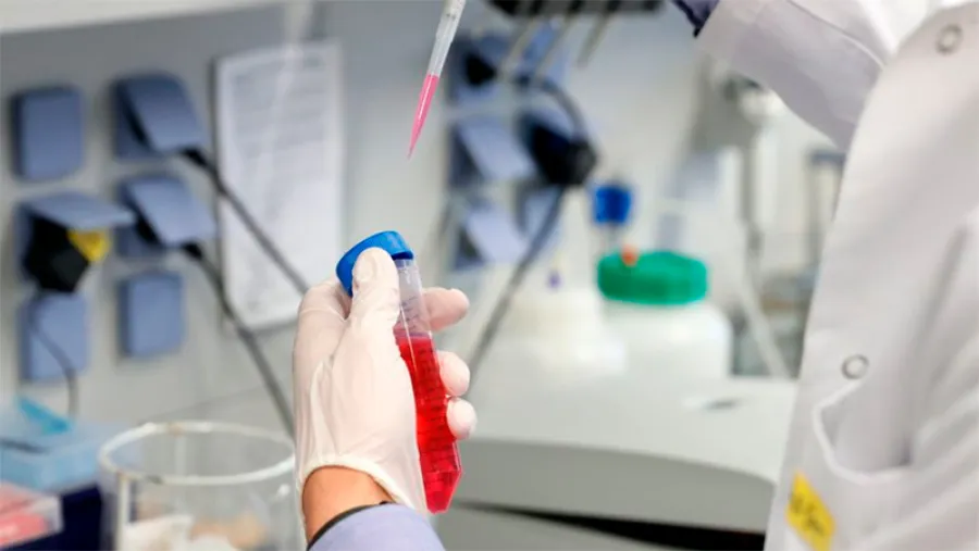 coronavirus coronavirus