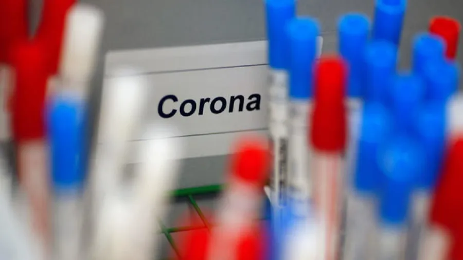 coronavirus 