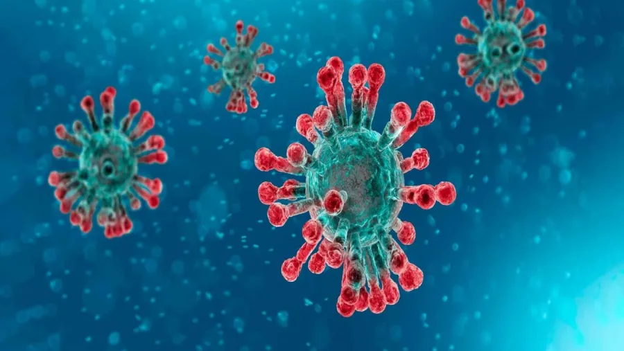 coronavirus coronavirus