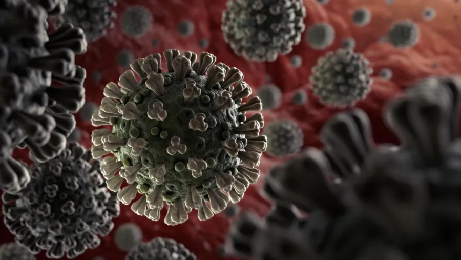 coronavirus célula coronavirus célula