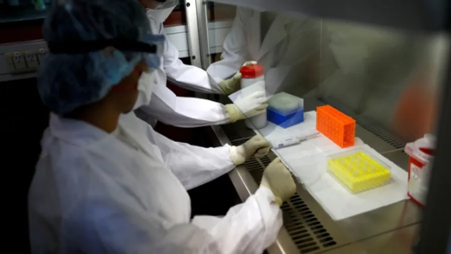 coronavirus coronavirus
