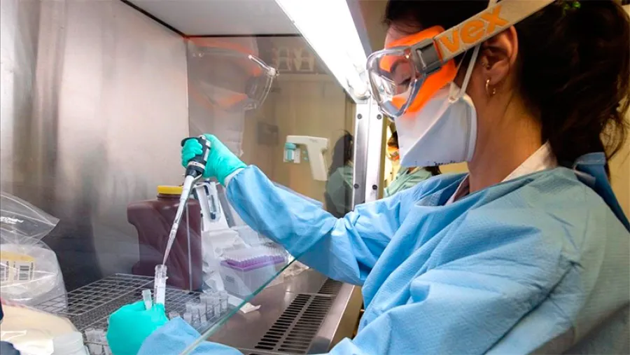 coronavirus laboratorio