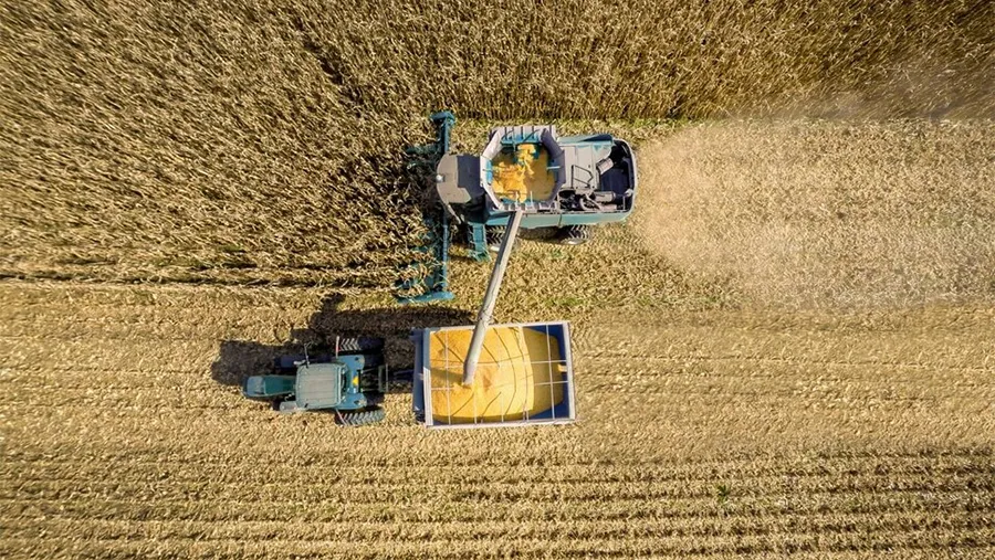 Si bien será una muy buena cosecha, el clima y un mercado con tendencia a la baja obligan a una mayor cautela en las proyecciones.Si bien será una muy buena cosecha, el clima y un mercado con tendencia a la baja obligan a una mayor cautela en las proyecciones.