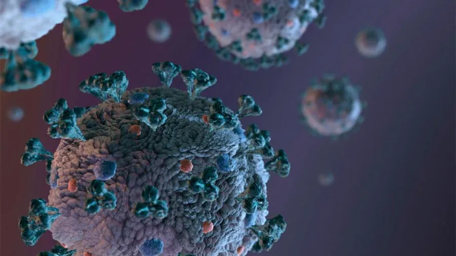 El coronavirus podría ser más o menos grave según cuál sea, de acuerdo a un estudio británico.