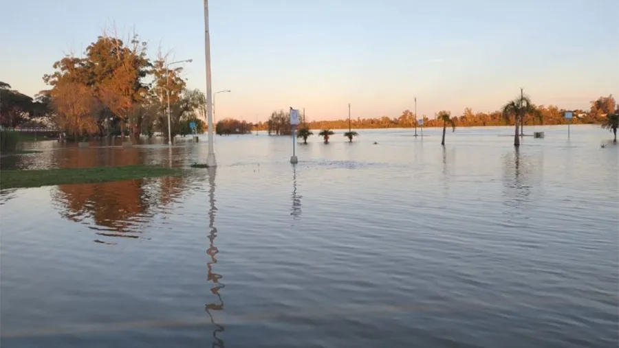 Por la crecida del río Uruguay en Concordia se anegaron las calles de la parte inferior de la Costanera.