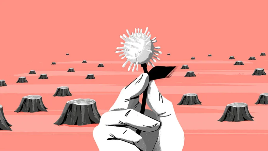 Ilustración de Juan Martín Ayerbe.