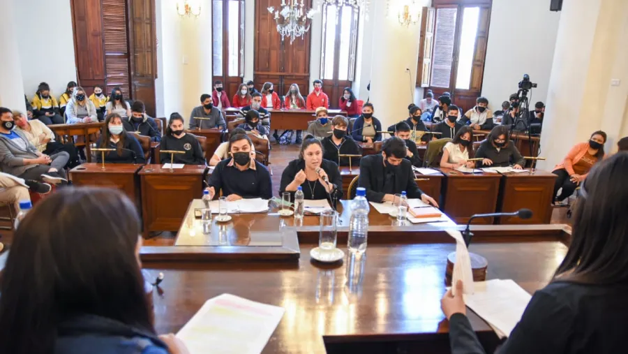 Concejo Deliberante Estudiantil