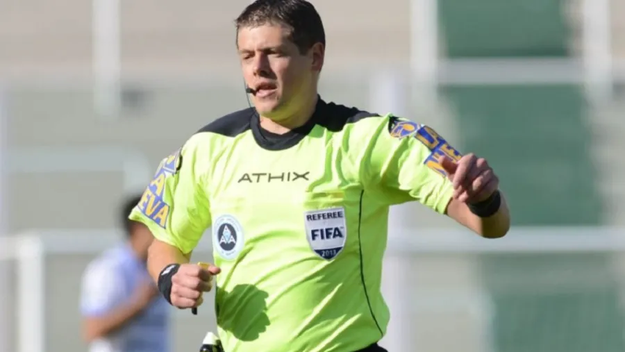 Delfino árbitro