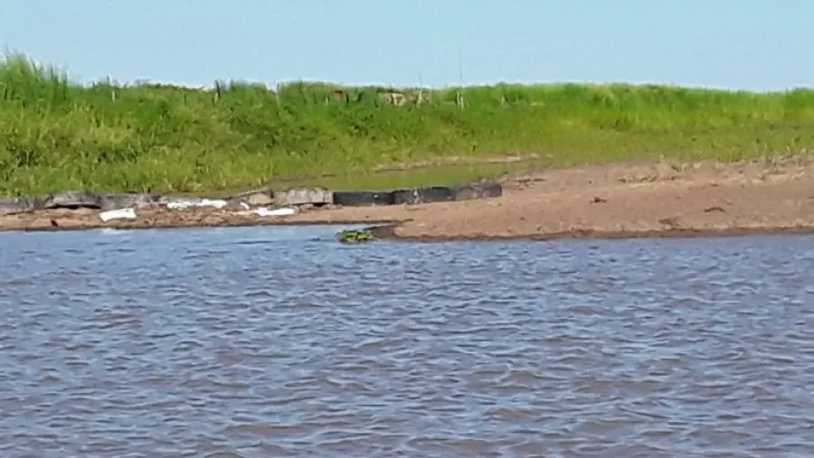 Denunciaron que taponaron con silo bolsas dos arroyos en el Delta