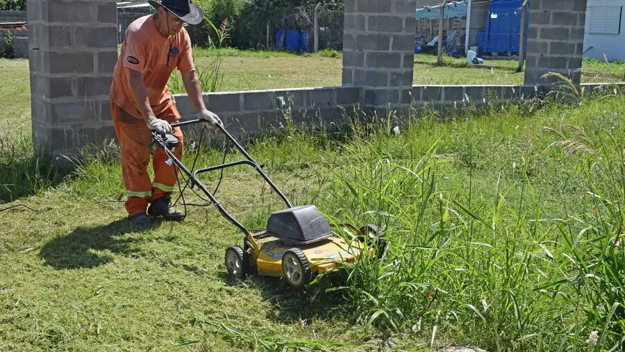 La limpieza de nuestro hogar es fundamental para evitar la reproducción de mosquitos.