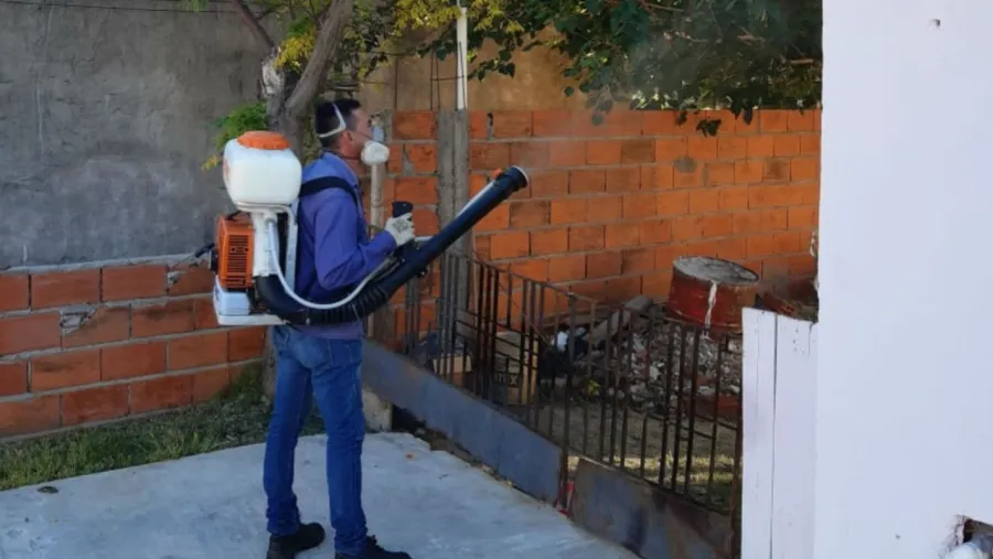 bloque sanitario dengue