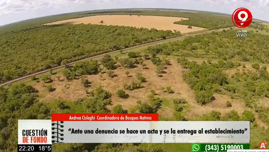 Imagen captada desde la televisión.