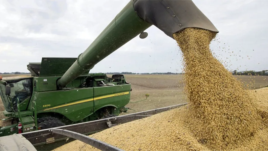 Santa Fe logró ser la primera provincia en verificar producción agropecuaria libre de deforestación. “Es un resultado alentador para que otras provincias sigan los pasos allanados por Santa Fe”, se indicó. Santa Fe logró ser la primera provincia en verificar producción agropecuaria libre de deforestación. “Es un resultado alentador para que otras provincias sigan los pasos allanados por Santa Fe”, se indicó.
