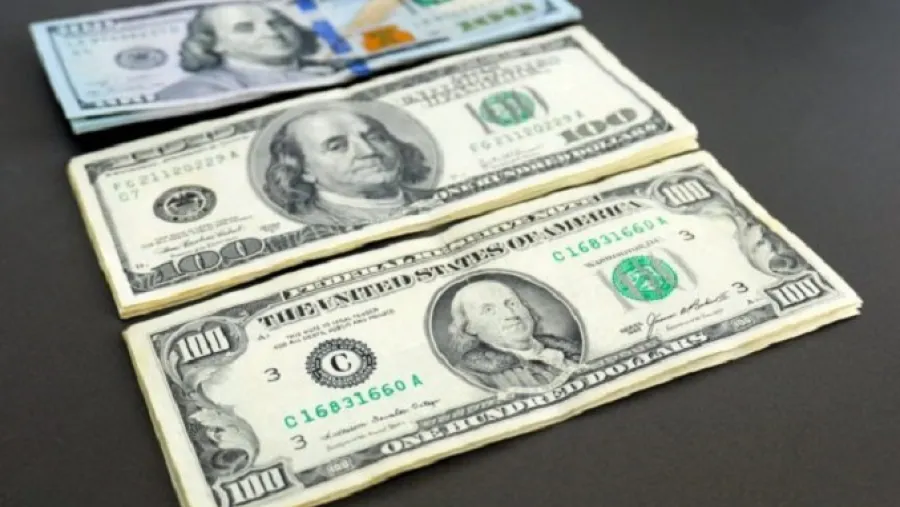 Diferencias entre el dólar "cara chica" y "cara grande" 