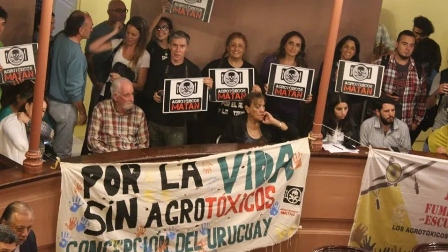 manifestación en diputados