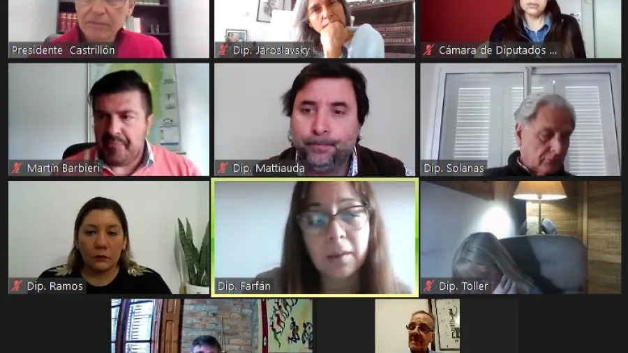 Diputados comisión ambiente