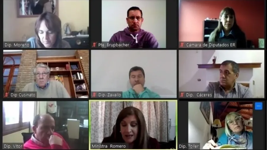 Diputados disolución LAER