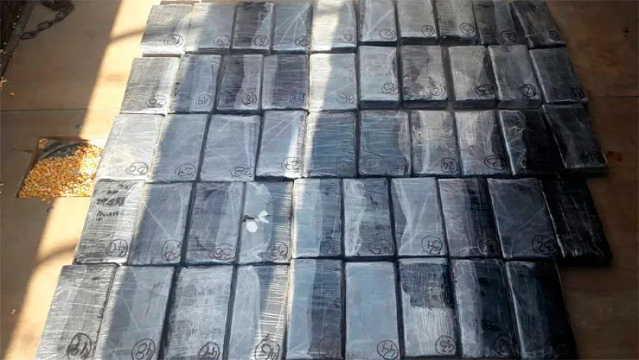 Colaboró la Gendarmería 