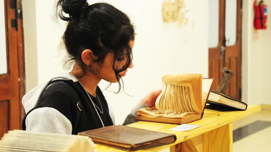 Fondo Nacional de las Artes