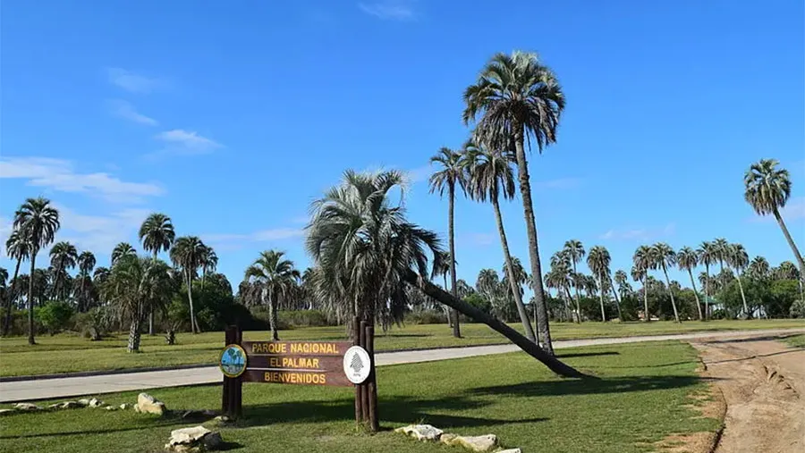 Los trabajadores del Parque Nacional El Palmar rechazan el uso de agrotóxicos en esa área natural protegida que se pretende utilizar para el control de especies leñosas exóticas.
