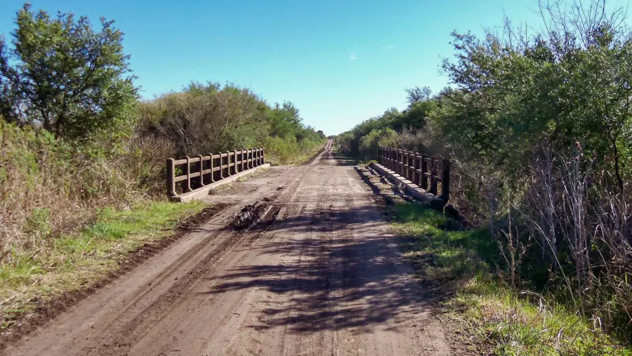 camino camino