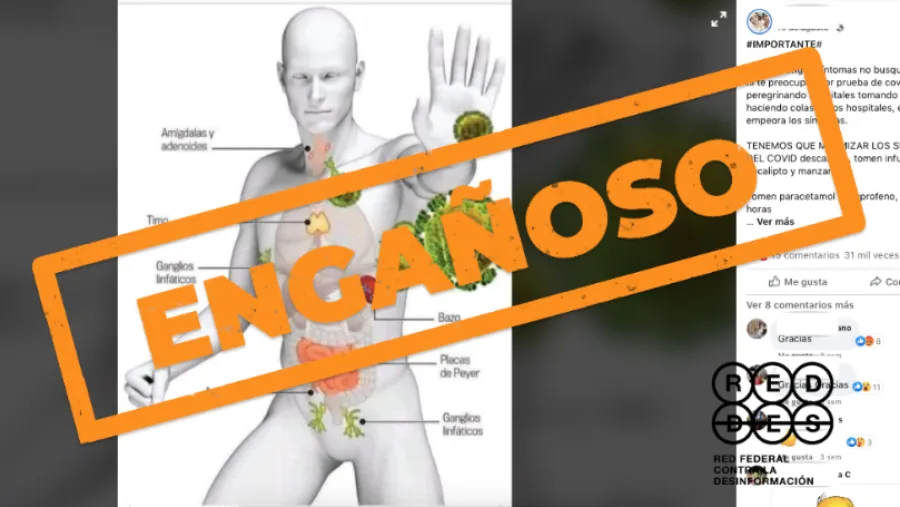 Las infusiones y nebulizaciones de distintas hierbas no curan el nuevo coronavirus