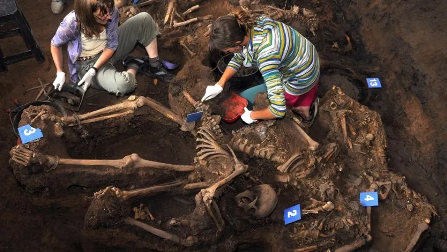 Equipo Argentino de Antropología Forense (EAAF) 