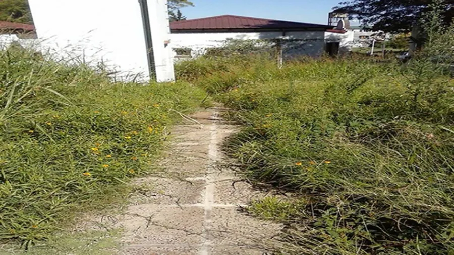 escuela con malezas en Paraná