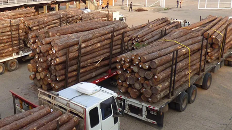 Pese a las restricciones por la pandemia del coronavirus, durante el primer cuatrimestre de 2020 las exportaciones entrerrianas aumentaron el 5 por ciento en cuanto a su valor y el 15 por ciento en volumen de exportación.