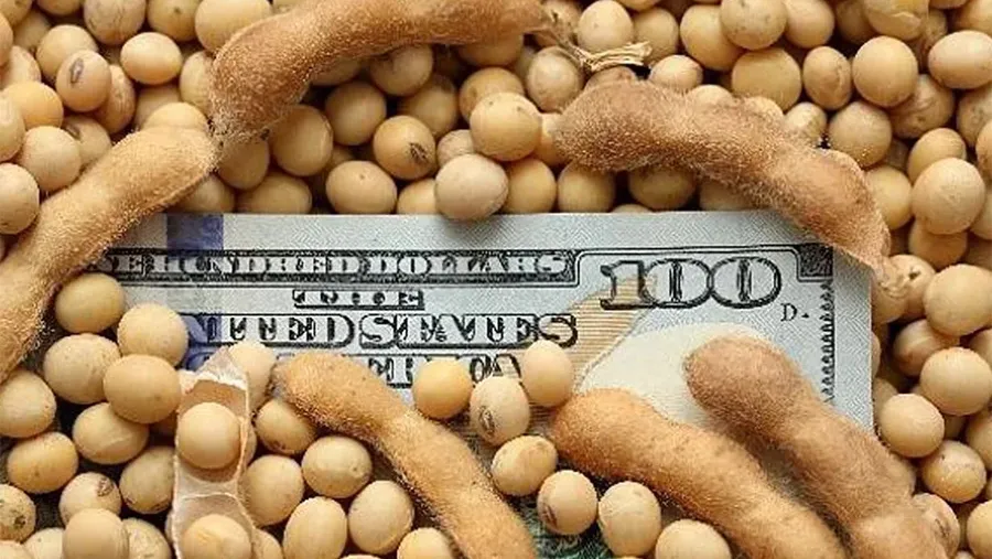 Aún con la sequía, el agro se mantiene como el sector más superavitario de la economía. Aún con la sequía, el agro se mantiene como el sector más superavitario de la economía.