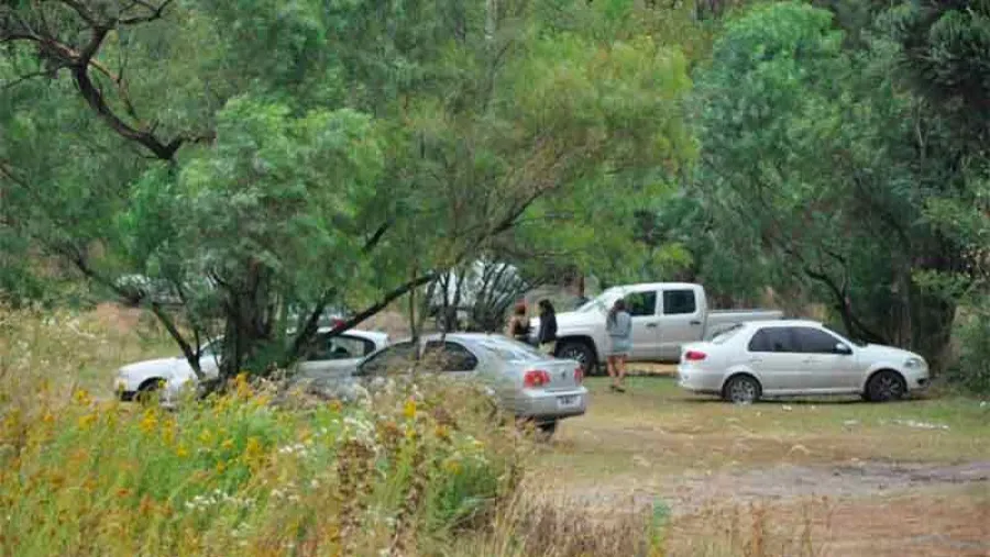 fiesta electrónica Sauce Montrull 