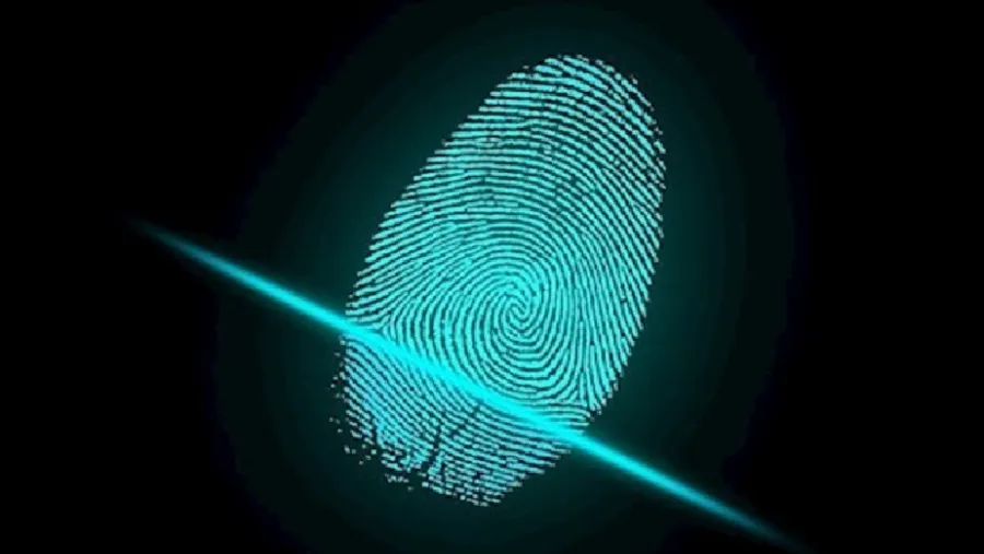 Informática forense