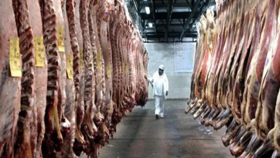 Mientras se desplomó el consumo interno, crecieron las exportaciones de carne